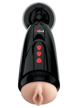 Dirty Talk Starter Stroker